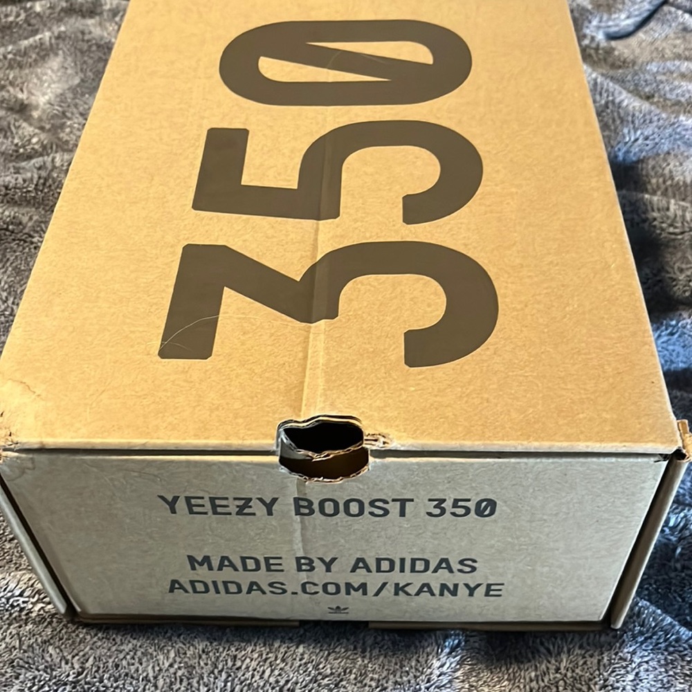 Yeezy boost 350
